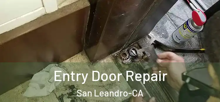  Entry Door Repair San Leandro-CA