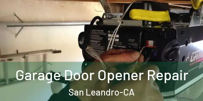  Garage Door Opener Repair San Leandro-CA