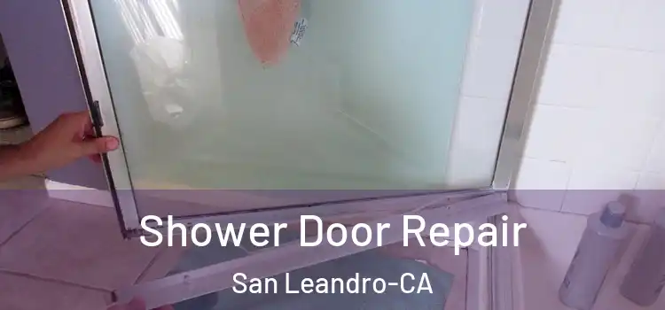  Shower Door Repair San Leandro-CA